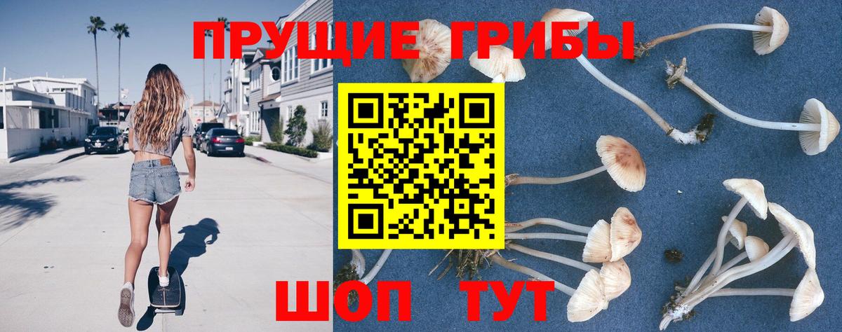 Галлюциногенные грибы ЛСД Павловский Посад