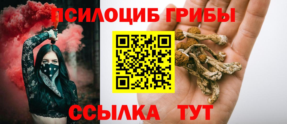 Галлюциногенные грибы GOLDEN TEACHER  Вход с VPN  Павловский Посад 