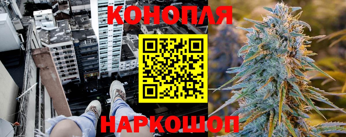 Конопля Bruce Banner Павловский Посад