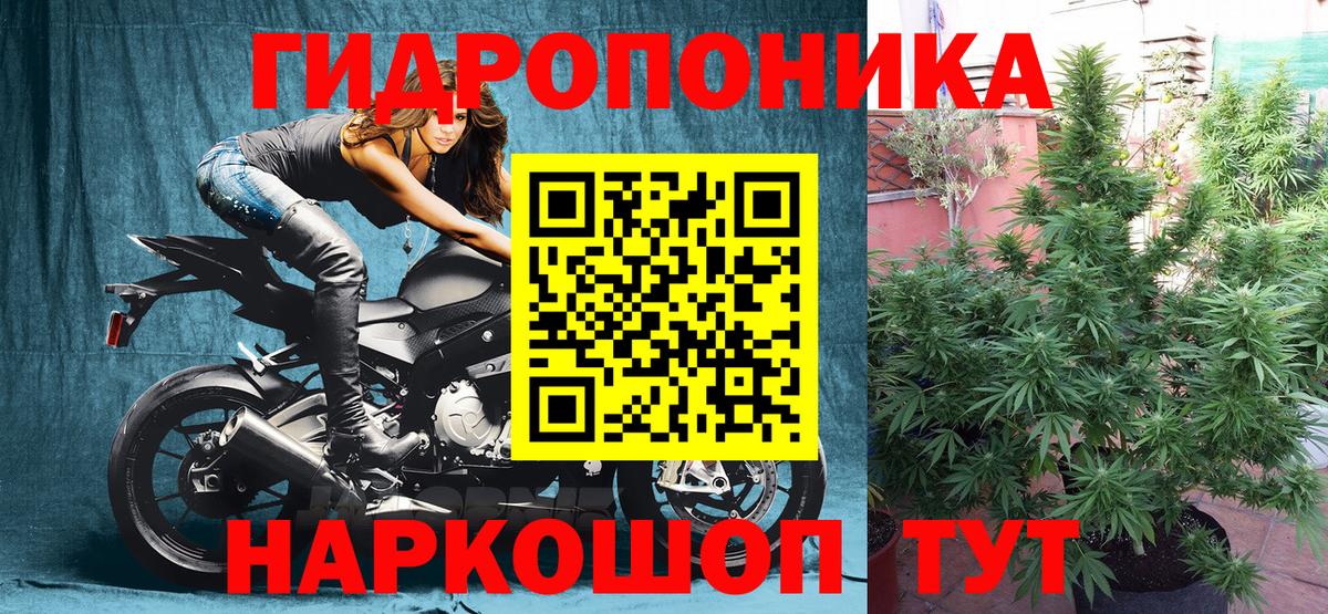 Марихуана VHQ  Вход с VPN  Павловский Посад  Марихуана гибрид 